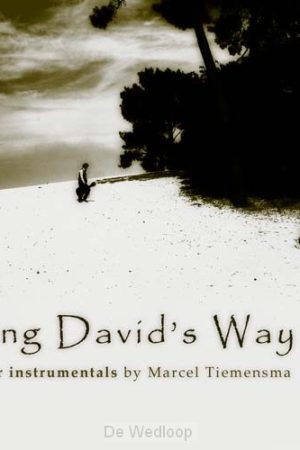 KING DAVID`S WAY